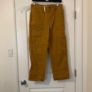 Madewell rust colored canvas pants